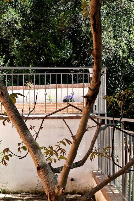 Appartamento I Tre Pini Pollica Esterno foto